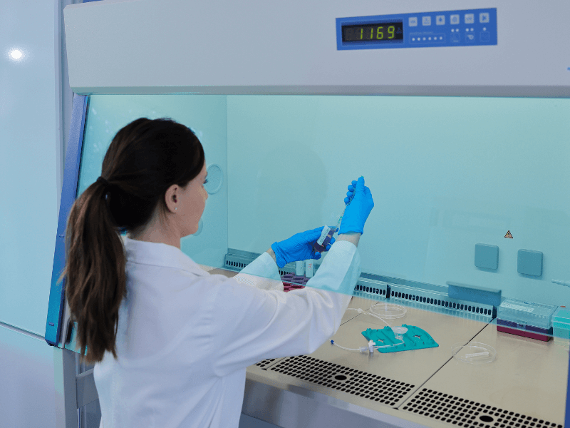scientist at work with cell culture
