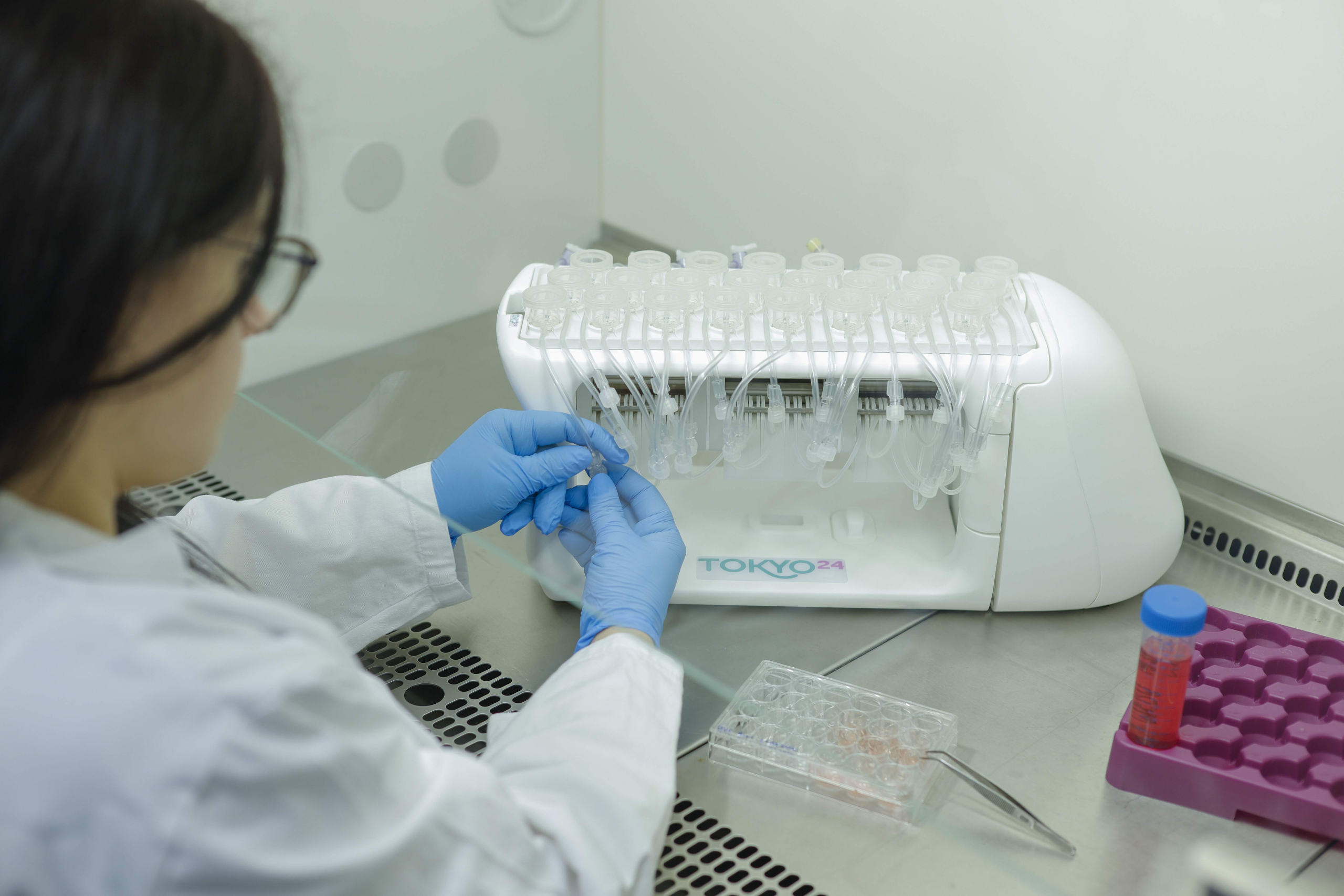 scientist at work with cell culture